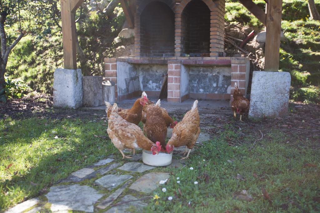 Casa Rural Andutza * Ea